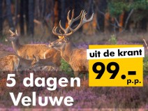 Van der Valk Amersfoort A1 **** Van der Valk Amersfoort A1 ****